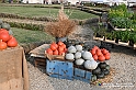 VBS_6823 - FLOREAL Ottobre 2022 - Tre giorni di fiori, piante e bellezza